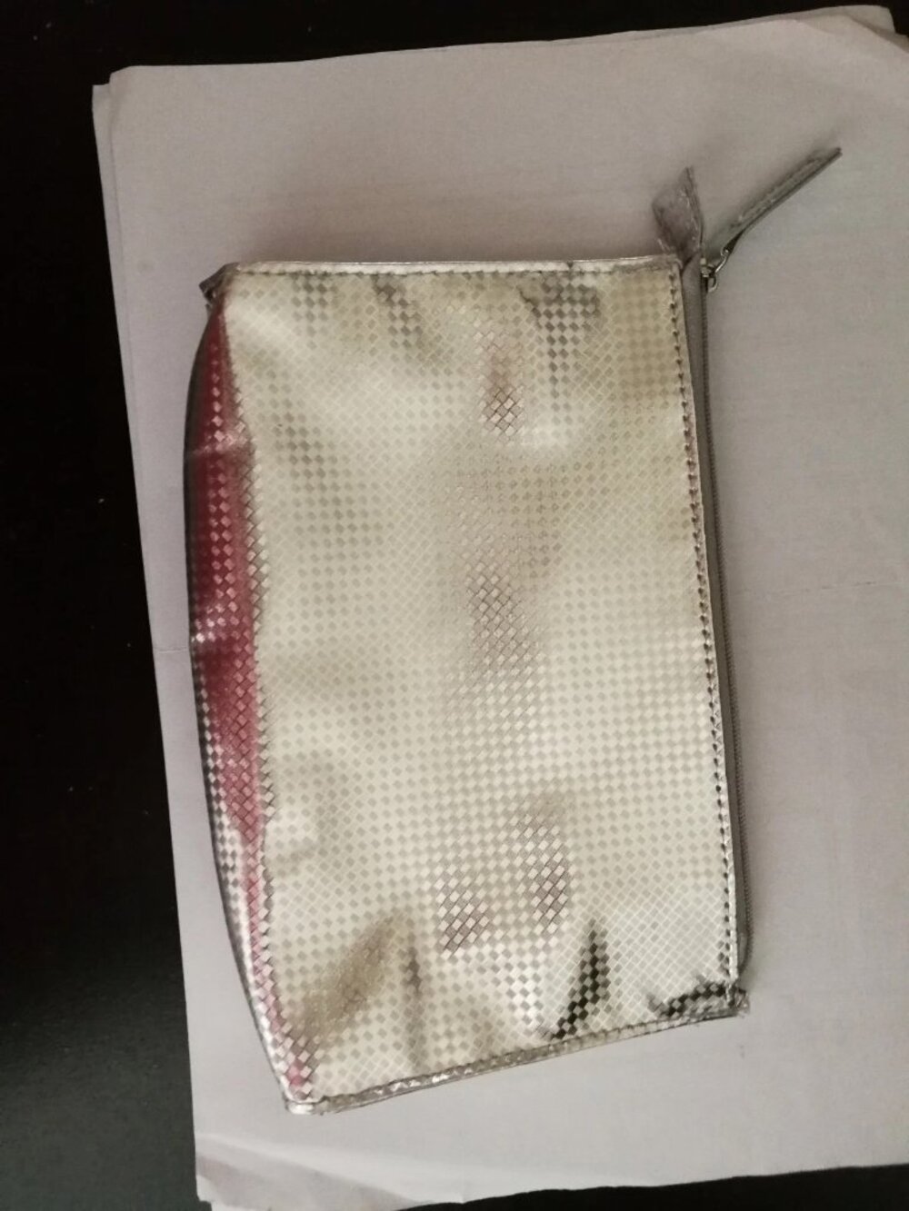 Shiny Cosmetic bag or Clutch bag Sliver